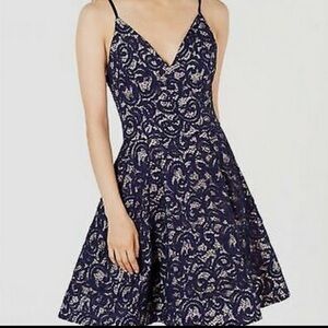 Sequin Lace Fit & Flare Dress, Size 5